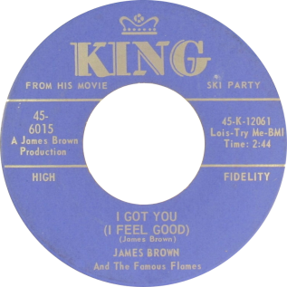 I Got You (I feel Good) - James Brown